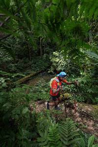 BIB: 
                            <button type="button" onclick="openModal(16029663)" class="btn btn-primary btn-sm float-right btn-popup" data-toggle="modal" data-target=".modal-high-quality">
                        <i class="fas fa-shopping-cart"></i> Add to Cart
                    </button>
                                            <button type="button" onclick="isThisMe(16029663, true)" class="btn btn-success btn-sm float-right btn-popup btn-isme hidden" data-toggle="tooltip" data-placement="bottom" title="นี่คือรูปของคุณใช่ไหม คลิกที่นี่เพื่อเอาเข้าอัลบั้ม">
                        <i class="fas fa-plus"></i> Add to album
                    </button>
                    <button type="button" onclick="isThisMe(16029663, false)" class="btn btn-warning btn-sm float-right btn-popup btn-isnotme hidden">
                        <i class="fas fa-ban"></i> Remove from album
                    </button>